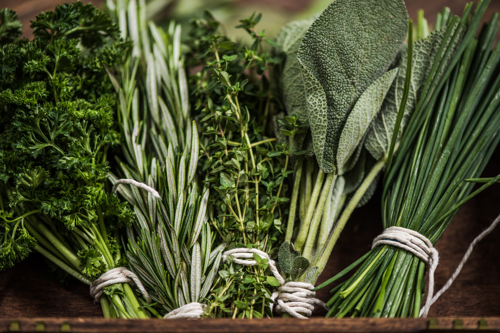 bunches of fresh herbs